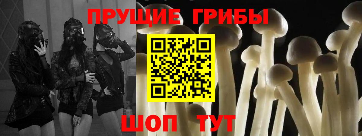 Галлюциногенные грибы Magic Shrooms Мичуринск